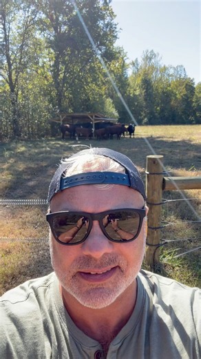 Hands full? No problem. Hey Alexa, play “The Good News” by Dave Wilbert on @a@amazonmusic