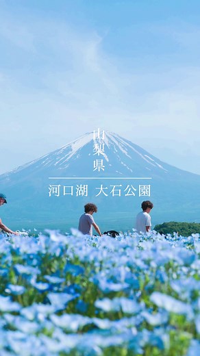 絶景満載！山梨県の河口湖夜景と大石公園をご紹介