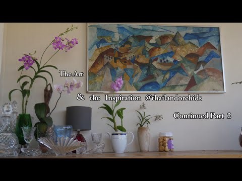 20c | Simple Orchid Styling Ideas That Anyone Can Do | Part 3 of 3