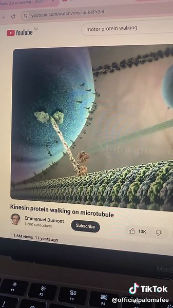 Walk a Mile in these Louboutins | Swaggy Burgers and Protein Supplements