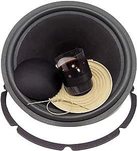 SS Audio Recone Kit for 12 Inch EVI 12, 8 Ohms, RK-EVI12