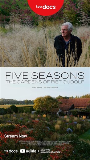 Piet Oudolf has radically redefined what gardens can be.  Before...