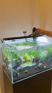 2.3K views · 45 reactions | Bi akvaryum kurulum hikayesi keyifli hobiler | Hobihanem | Facebook