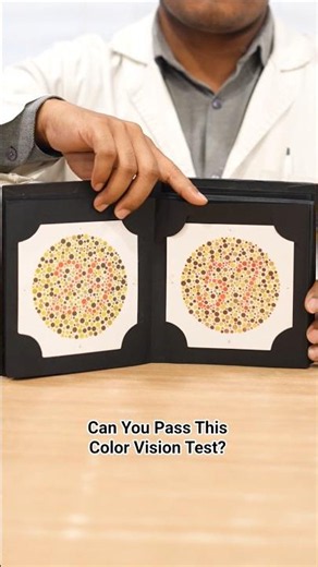 Can You Pass This Color Vision Test?