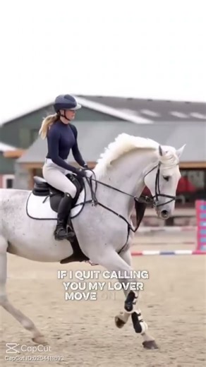 Wouaw 😻😍 #lvrt #horse #reels #equestrian #trending #cheval #ane #showjumping #horseriding #pony