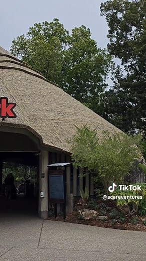 San Diego Zoo Safari Park Entrance Experience