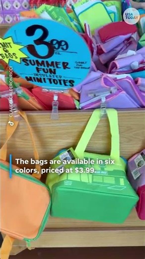 Watch Trader Joe’s insulated mini totes spark a summer frenzy