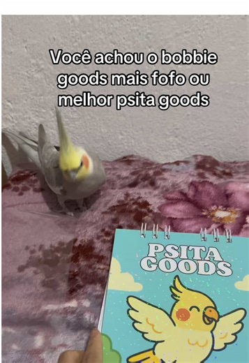 Understanding Calopsitas: The Perfect Pet Birds