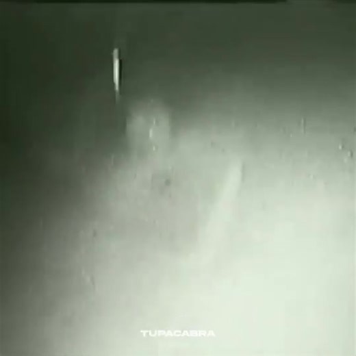 NASA's 1996 tether incident 👀 🛸 A 12-mile cable snapped in space and was immediately swarmed by glowing orbs. | Extraterrestrials And Contactees