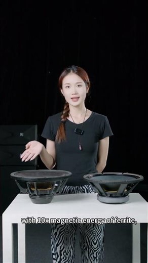 Why do professional Line Array Speakers deliver such powerful sound? #betathree #speaker #audio