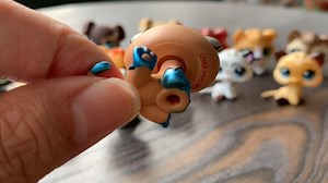 Watch LPSCB super cat kitten on Amazon Live