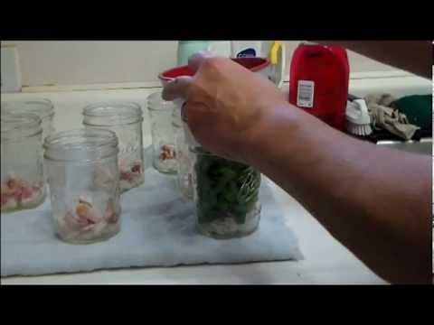 Canning Green Beans With Bacon And Onion