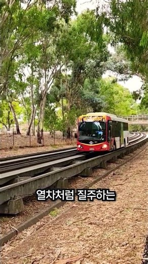 A bus running on the tracks like a train