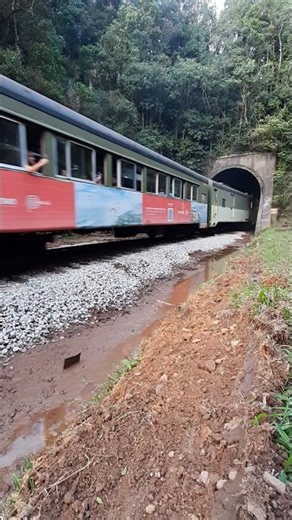Trem Turistico Passeio MORRETES CURITIBA no Túnel de ROÇA NOVA