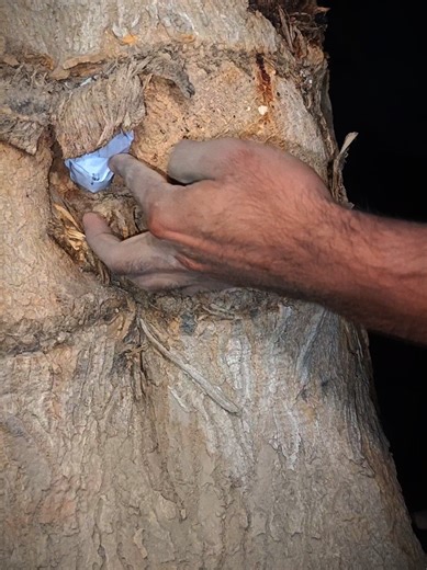 Black Magic Camera for Capturing Spells