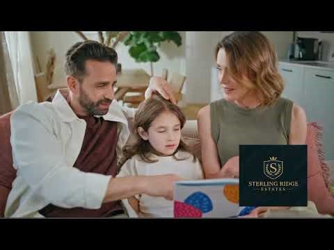 Demo Real Estate Commerical