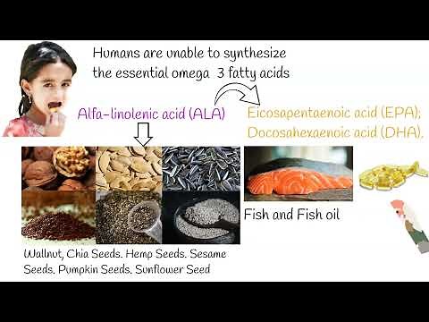 Omega 3 Fatty Acids (Fish oil) - Explained under 3 minutes