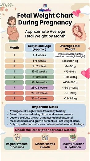 Fetal Weight & Size by Month: From Poppy Seed to Watermelon! 🤰📏