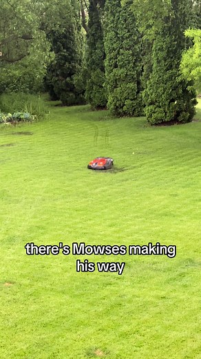 Why does the weather time suck on the Husqvarna Automower? #husqvarna #automower #mowses #lawncare #robot