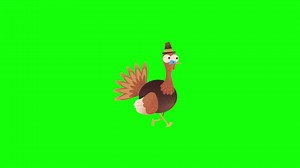 Download Animal pop up animation green screen chroma key 4k template background. for free