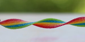 Bend or Break? Candy Science | Science Buddies Blog