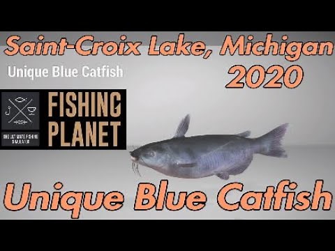 Fishing Planet Unique Blue Catfish Guide 2020 - Saint-Croix Lake, Michigan