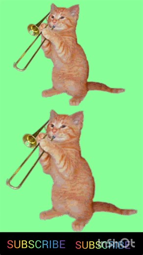 World's Most HILARIOUS Music Fails