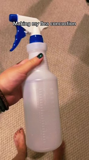 Effective Flea Control Methods to Get Rid of Fleas