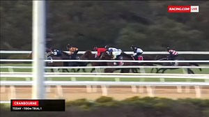 2.3K views · 31 reactions | Brent Zerafa and Matt Campbell take an in-depth look at the first two of this morning's star-studded trials. What were your thoughts after watching both? | Racing.com | Facebook