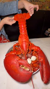 Haters will say this is AI. This was an 8 lb lobster from Angry Crab Shack in Henderson, NV! #lobster #lobsterporn #lobstertail #seafood #seafoodboil #cajunfood #food #foodie #foodporn #foodgasm #asmr #asmrfood #fyp #explore #exploremore | Dongkyuverymuch