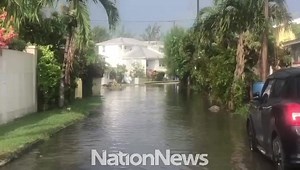Flooding in Graeme Hall, Christ Church today. Barbados Meteorological Services issued a flash-flood warning for southern areas earlier today. (Video by Sandy Pitt) #meandmynation #yournewsyourtimeyourway #ilovemynation246 #nationbarbados #Nation246 #Barbados | The Nation Barbados