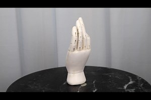Watch Psychic Fortune Teller Chirology Palmistry Hand Palm on Amazon Live