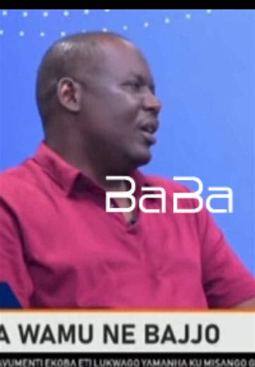 Presenting Factual Information to Authorities — Bajjo Statement