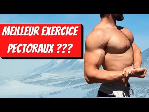 LE MEILLEUR EXERCICE PECTORAUX