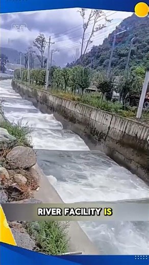 This Isn’t a Water Slide — It’s a Fish Highway! 🐟🇺🇸