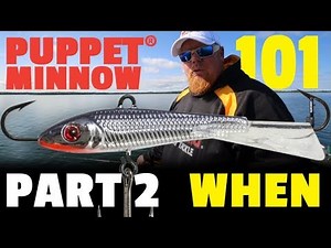 Puppet Minnow 101 - "When" - Part 2