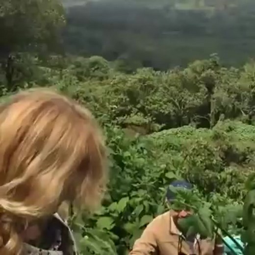 Hi okay #meme #funnyclip #viral #fyp