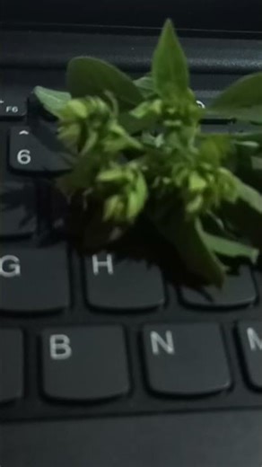 Cozy Weather | Video Captured with Cold Heart and Cold Hand