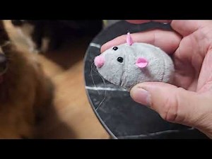 Electronic Chasing Mouse Cat Toy