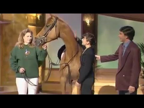 Alan Partridge Regrets Bringing this Horse on Stage | Knowing Me Knowing You | BBC Studios