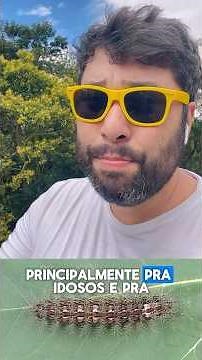 Lonomia oblique. This caterpillar can cause serious accidents. Learn what to do in case of an acc...