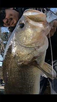 バス釣り 亀山ダムシャローでデカバス捕獲！【本編公開中】