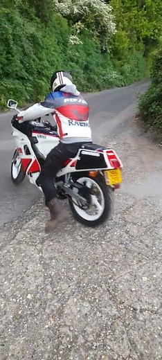Yamaha 1987 FZR 250...1st run in years