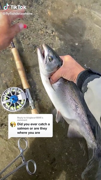 Experience Fly Fishing for Salmon in Alaska