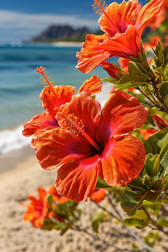 1K views · 85 reactions | Lovely Tropical Hibiscus  | Tropical Flora Explorer | Facebook