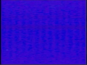 Sound Response Check