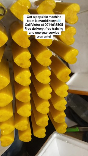 Buy a Popsicle Machine with Free Training & Warranty