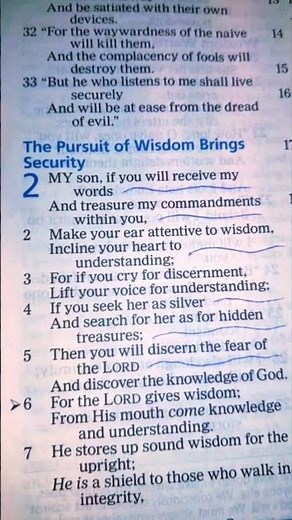 PROVERBS 2:1-5 (GOD'S Words, Commandments, Wisdom, Understanding, Discernment and Knowledge are LIFE