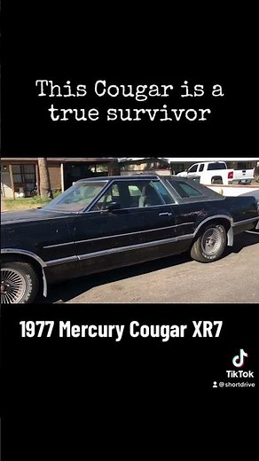 A true survivor! 1977 Mercury Cougar XR7 ￼