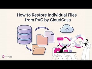 How to Restore Individual Files from PVC by CloudCasa?